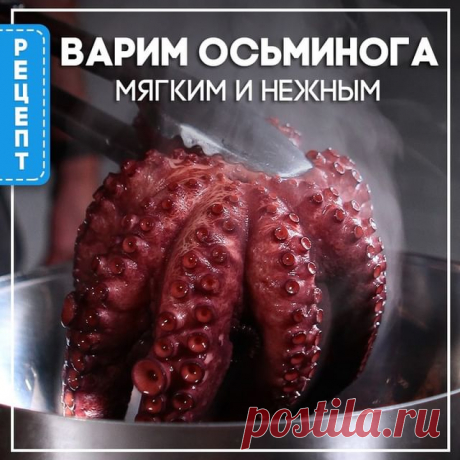 Photo by Сахалинский икорный дом on October 23, 2020. На изображении может находиться: еда, текст «варим осьминога мягким и нежным».