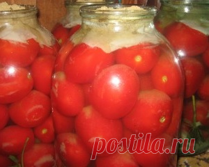 Соленые ядреные ,бочковые помидоры ...из банки