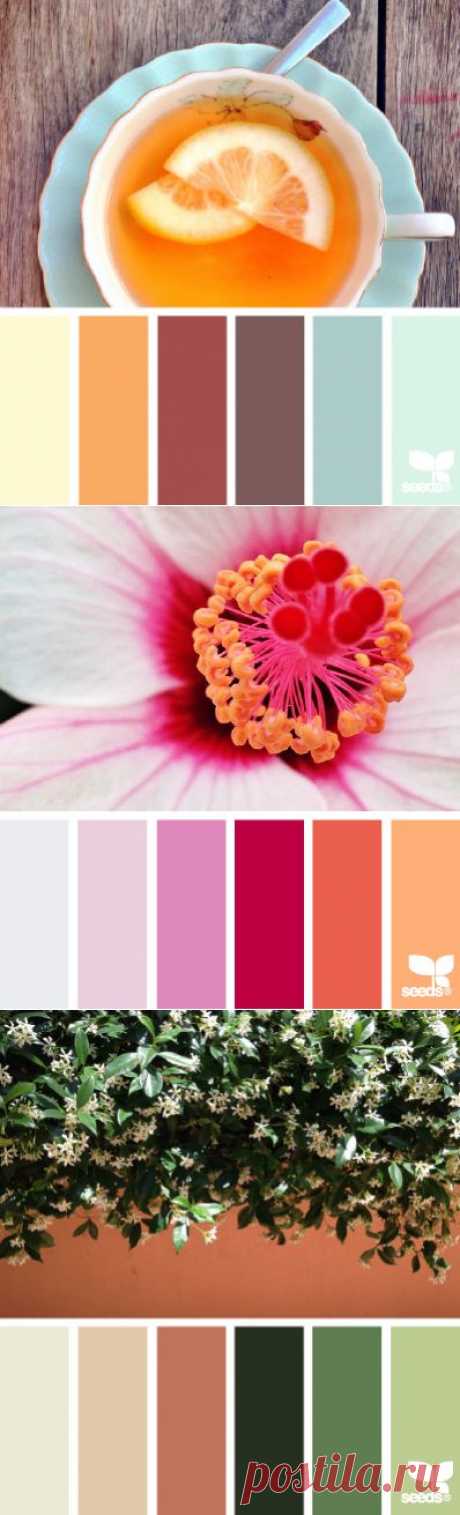design seeds | search | for all who ♥ color