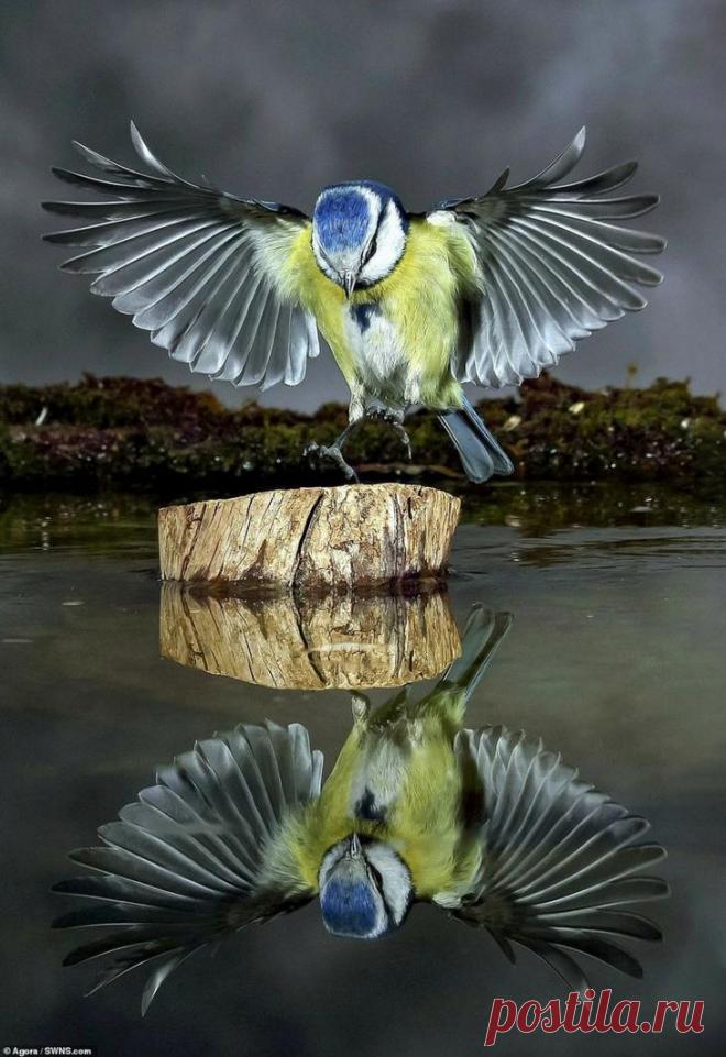 Водный мир: лучшие фотографии