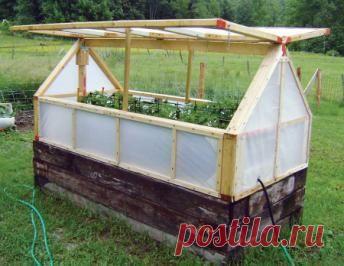 Найдено на сайте homesteadsurvival.blogspot.com.