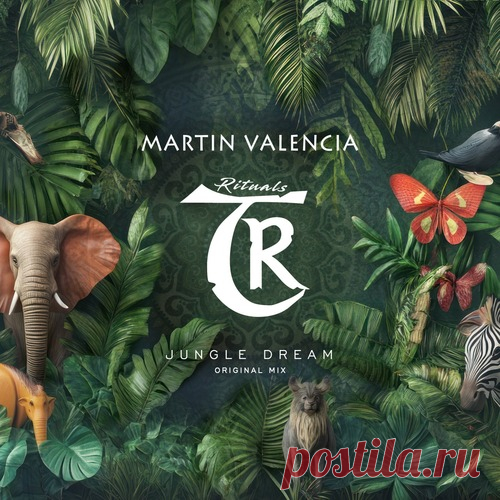 Martin Valencia - Jungle Dream [TRS24] free download mp3 music 320kbps