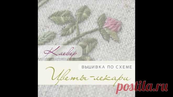 В этом видео о вышивке клевера из схемы 