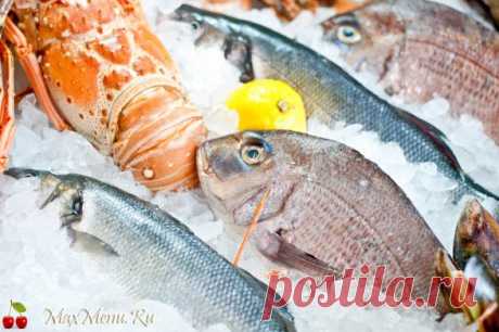 Как правильно разморозить рыбу | MaxMenu.Ru - Кулинарные рецепты