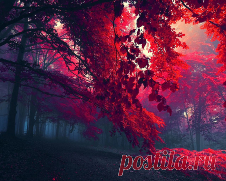 багрянец