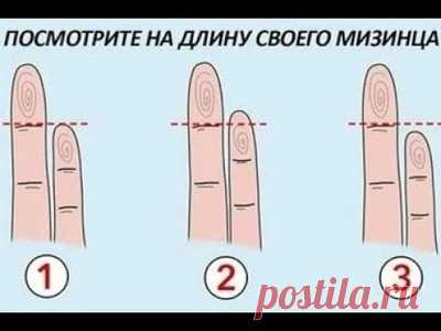 FB.ru