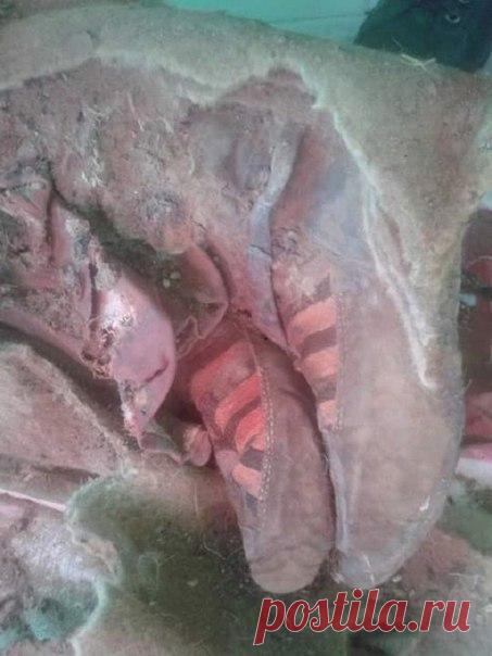 Мумия в модных кроссовках стала любимицей наших читателей-археологов в 2016 году.