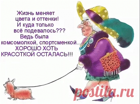 image (800×599)