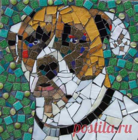 Pets | Stevo Mosaics