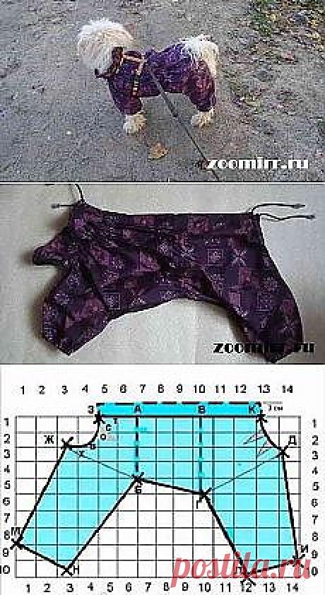 душегрейки для хвостиков | Фотографии и советы на Постиле