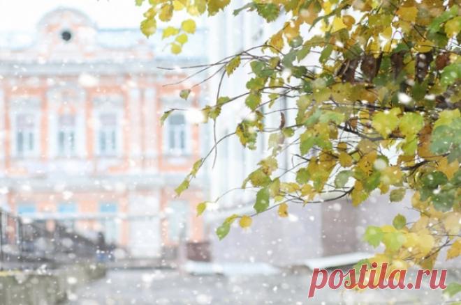 Ноль и ниже. Синоптик рассказал о погоде в Москве до 29 октября. Начиная с 24 октября жителей и гостей столицы ожидают дождь, снег, гололедица и температурные скачки от плюса к минусу.