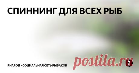 СПИННИНГ ДЛЯ ВСЕХ РЫБ В том, что я поймал эту рыбу, есть большая заслуга этого спиннинга. Конечно, его можно было поймать и другими снастями, но в этот день это произошло с ним и он с этим справился на отлично. Точный, дальний заброс, поклевка, вываживание…