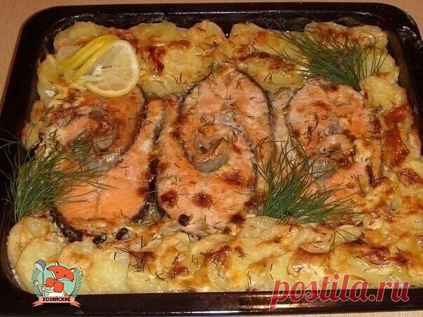 Запекаем рыбу

1. Обалденная вкусная запеканка картофельная с рыбкой

Получается изумительная хрустящая сырная корочка! И рыбка, и картошка в сливках со специями приобретают нежный пикантный вкус! Быстро, легко и вкусно! Рецепт для уютного семейного ужина, все будут довольны и сыты.

Ингредиенты:

- 5-6 картофеля
- 500 г рыбы
- 2 помидора
- 1 большая луковица
- сыр
- зелень
- сливки

Приготовление:

Многие соблюдают пост, поэтому сливки можно заменить рыбным бульоном. И то...