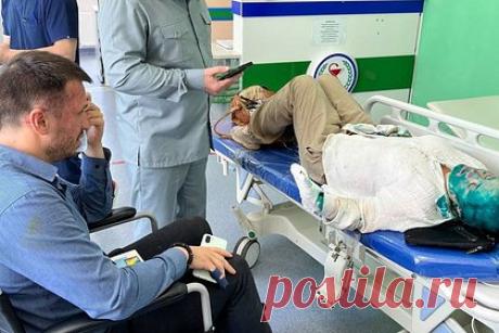 Милашина и Немов вылетели специальным рейсом из Беслана в Москву. Журналистка Елена Милашина и адвокат Александр Немов вылетели специальным рейсом из Беслана в Москву. Отмечается, что Милашина и Немов улетели вместе с главным редактором «Новой газеты» Дмитрием Муратовым и журналистом Алексеем Венедиктовым (внесен в реестр СМИ-иноагентов).