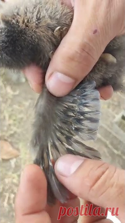 Смотрите любимые видео, слушайте любимые песни, загружайте собственные ролики и делитесь ими с друзьями, близкими и целым миром.