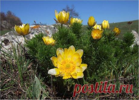 Весенний Крым