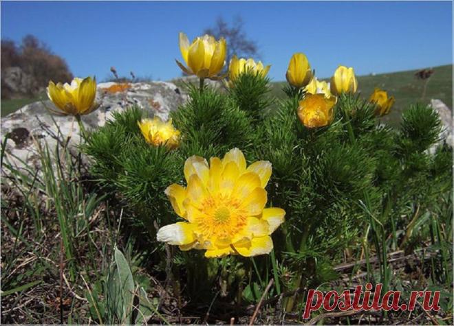 Весенний Крым