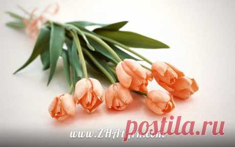 Қазақша Құттықтау - тілек: 5 Қазан - Ұстаздар (Мұғалімдер) күні » ZHARAR