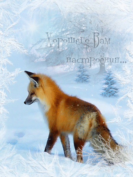 h-18060.jpg (450×599)