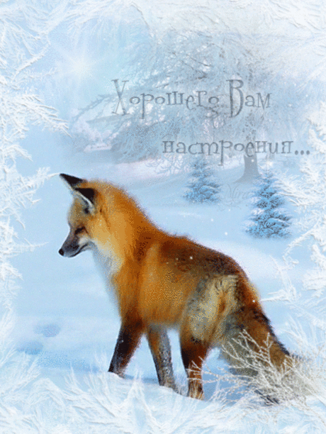 h-18060.jpg (450×599)