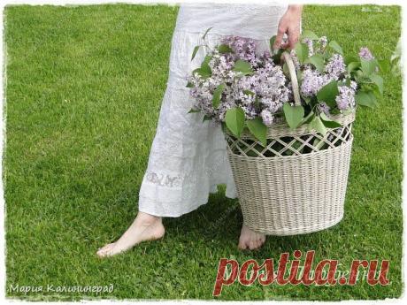 Овальное дно (мастер класс) | Страна Мастеров