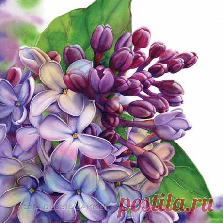 (2) Pinterest