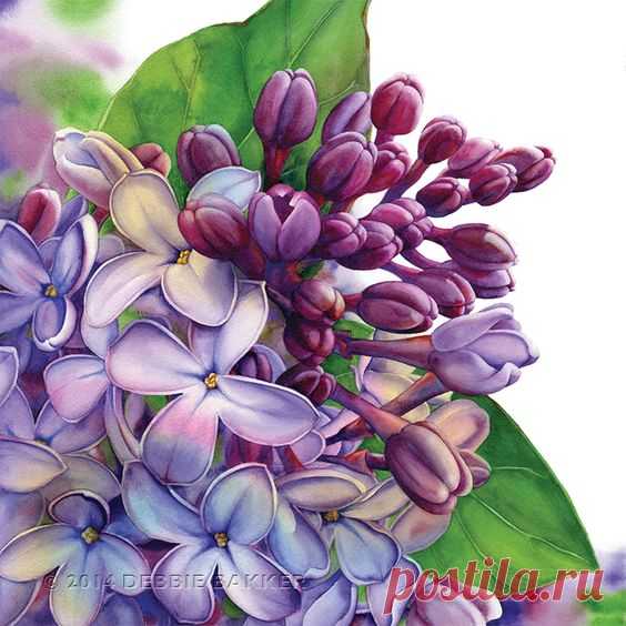 (2) Pinterest