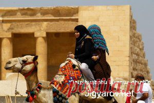 Армянское национальное блюдо ХАШ » Jigyarov.NET - Армянский молодежный портал