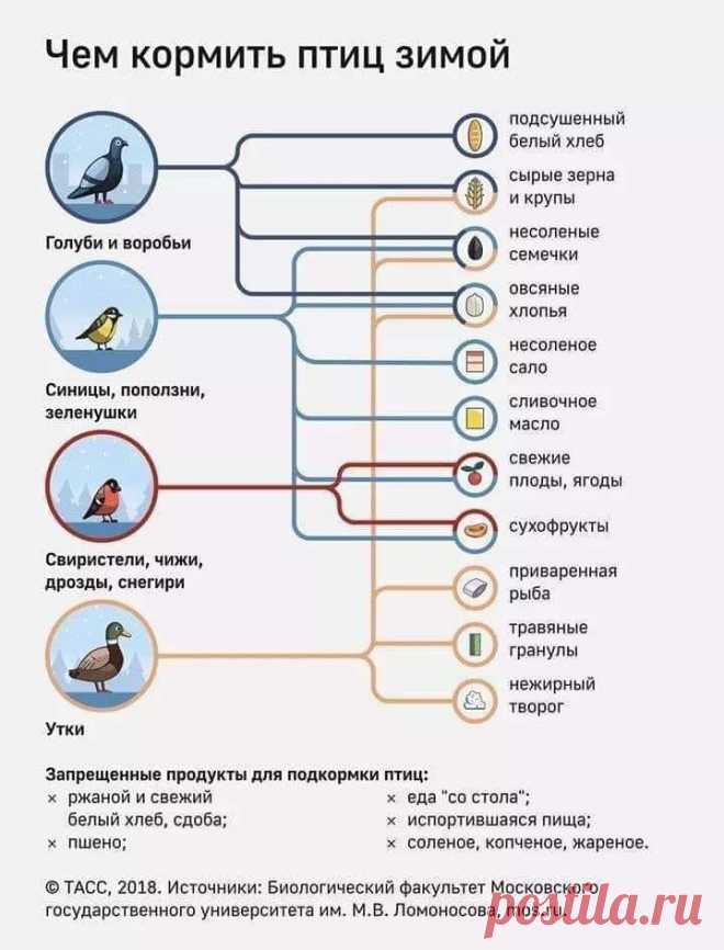 76689032_1330891333739208_950042088655814656_n.jpg (720×945)
