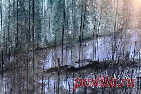 Фото дня. Русский Север.