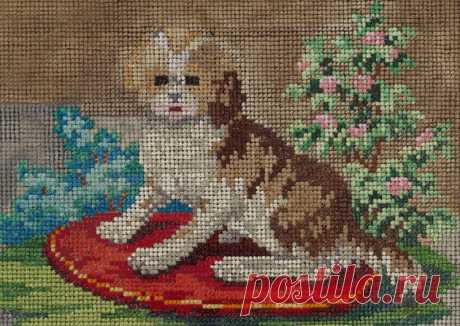 (7) Gallery.ru / Фото #5 - Где-то нашлось и понравилось - bdancer