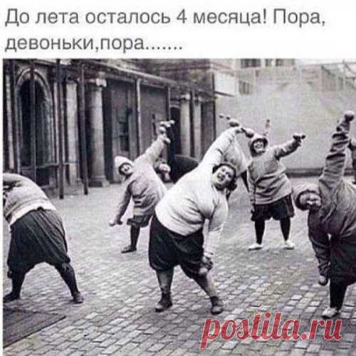 Порция прикольных картинок для настроения