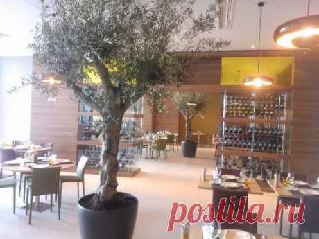 Pullman Sochi Centre 3.5* 3.5* (Сочи, Россия) – Отзывы - TripAdvisor