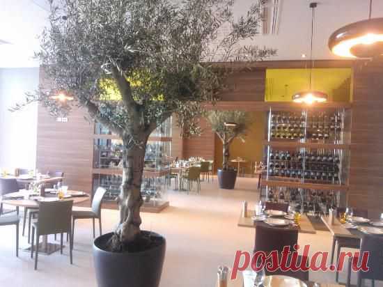 Pullman Sochi Centre 3.5* 3.5* (Сочи, Россия) – Отзывы - TripAdvisor