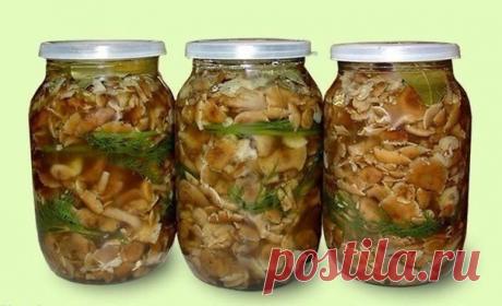 Интересные новости