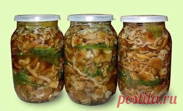 Интересные новости