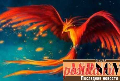 Год кого по гороскопу будет 2017 год