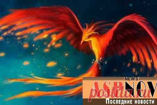 Год кого по гороскопу будет 2017 год
