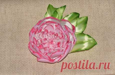 Цветы из лент – нежный пион. Мастер класс с пошаговыми фото