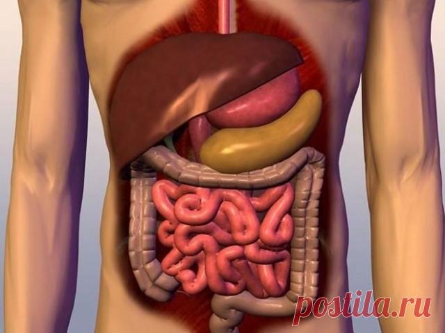 7 ОТЛИЧНЫХ СОВЕТОВ : 
Сохраните, чтобы не потерять. 

СОВЕТ 1 : ДЕРЖИ КИШЕЧНИК В ЧИСТОТЕ! 

«Генеральную уборку организма» нужно начинать с пищеварительного тракта.

Каша для очистки кишечника. 

 Есть каша, которая прекрасно очищает кишечник. 

Раньше такой кашей детей спасали от неминуемой операции, когда они по ошибке глотали несъедобные предметы. 

Берем поровну овес и рис, промываем и варим, как обычную кашу, до загустения. 

Стакан смеси этих круп и залить 2,5 стакан...
