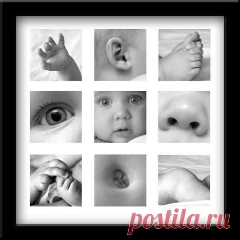 (13) Pinterest