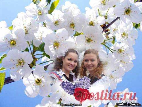Он-лайн коллажи на сайте Photo Montage