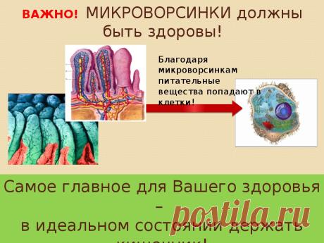Команда bmd21 Life Style