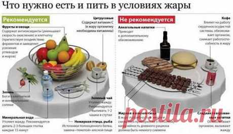 Что необходимо есть и пить в условиях жары