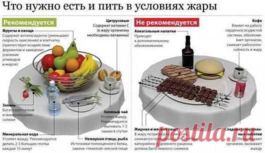 Что необходимо есть и пить в условиях жары
