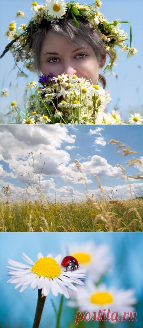 Лето - маленькая жизнь