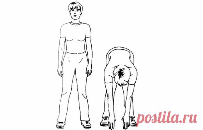 Секрет который мы не знали! Для чего надо наклоняться!? Простое решение избавится от шлаковых продуктов! Больше интересной информации и полезных советов вы всегда сможете найти на нашем сайте. Депрессия в области больших поясничных мышц приводит к депрессии области кишечника. А если в депрессии находится восходящий отдел толстого кишечника — то начинает себя плохо чувствовать печень. Молочная кислота не утилизируется, увеличивается количество шлаковых продуктов, резко …