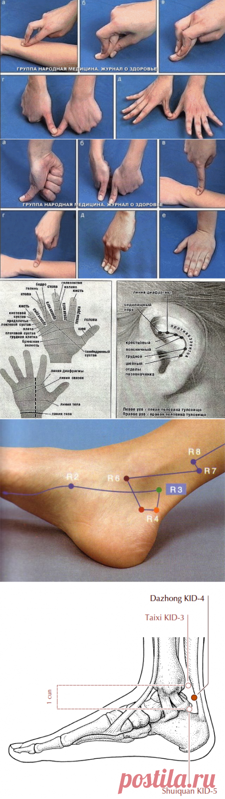 Альбом - 1 «Здоровье в картинках»/продолжение/