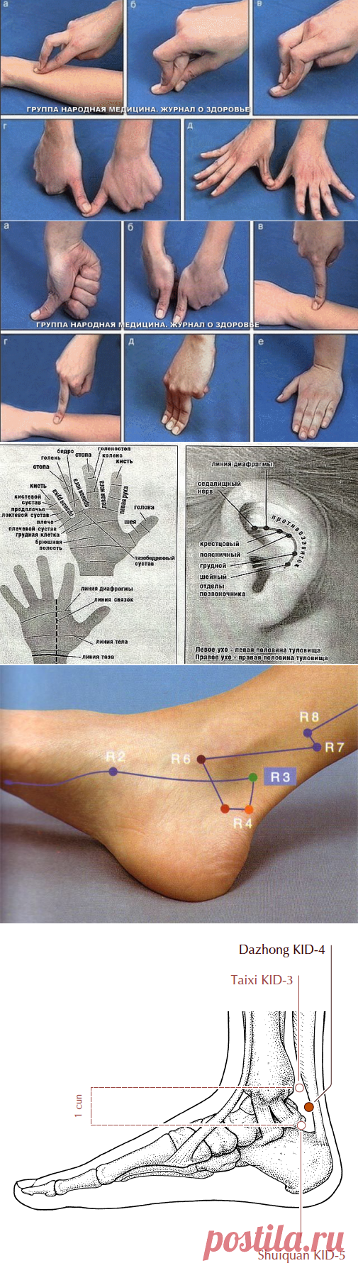 Альбом - 1 «Здоровье в картинках»/продолжение/