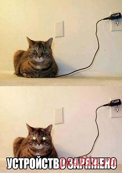 прикол